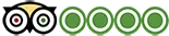 trip-advisor-icon